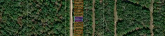 Tbd Pineneedle, Livingston, TX 77351 - MLS 89685636 for Sale