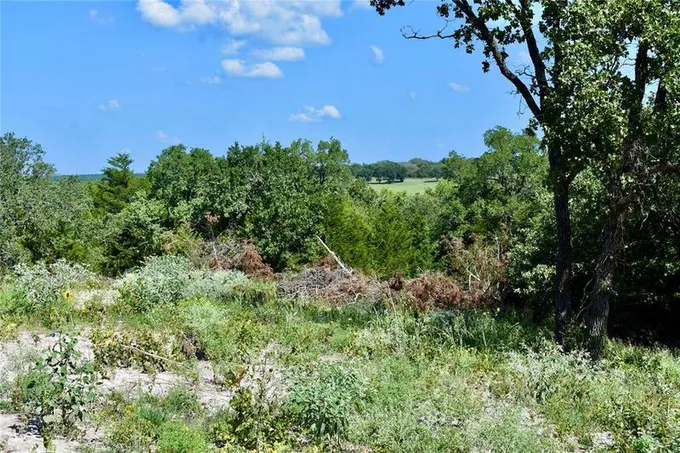 1217 Mallard Rd, Montague, TX 76251 for Sale