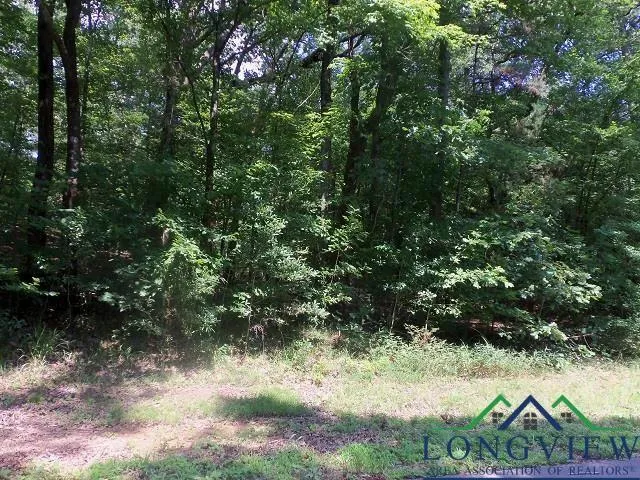 TBD--LOT 9 WILLOW SPRINGS ROAD, Kilgore, TX 75662 Land For Sale  MLS# 20214038