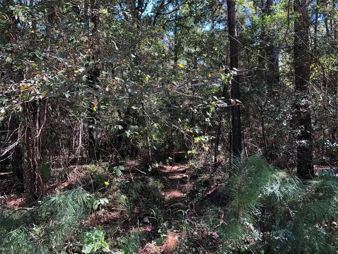 Lot 16F W Stuart Ln, Trinity, TX 75862 for Sale