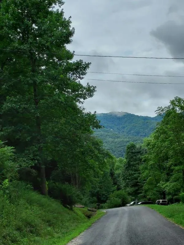 0 PIGEON CREEK RD. BRYSON CITY, Bryson City, NC 28713 Land For Sale  MLS# 26028327