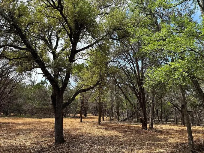 2 Dews Rd, Leander, TX 78641 for Sale