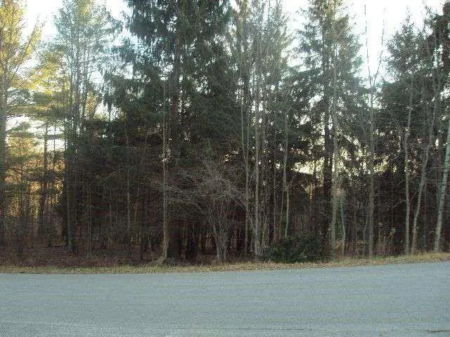 Oneonta, Otsego County, NY Undeveloped Land for sale Property ID: 416878665