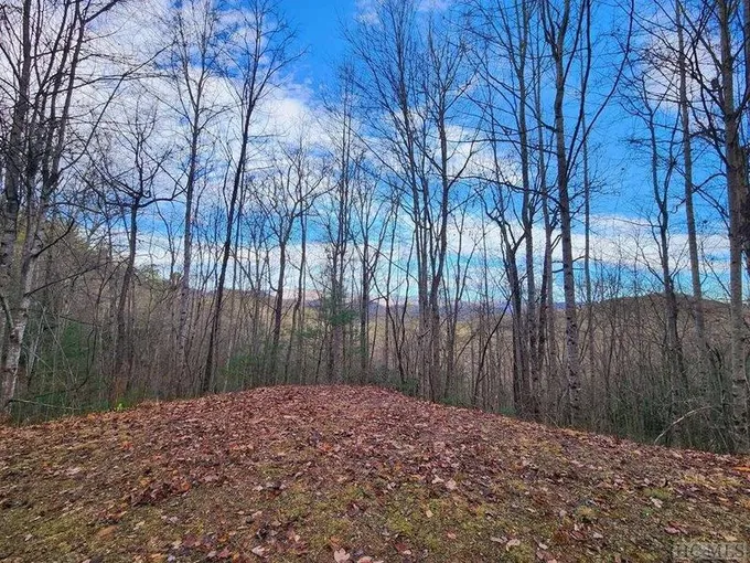 00 Willis Cove Road, Franklin, NC 28734  619713940 for Sale