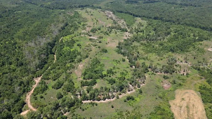 Jackson, Clarke County, AL Recreational Property, Timberland Property, Hunting Property for sale Property ID: 414184551