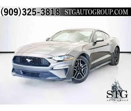 2023 Ford Mustang Eco Boost Premium for Sale