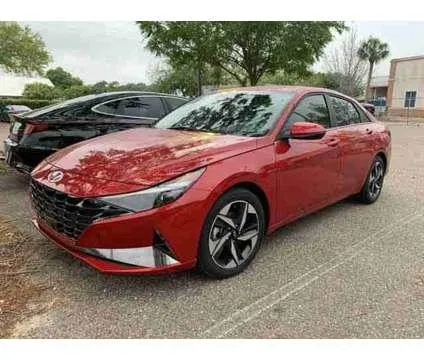 2023 Hyundai Elantra Limited for Sale