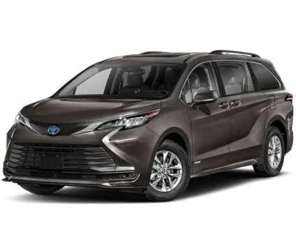 2024 Toyota Sienna LE for Sale