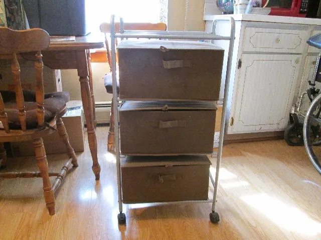 Rolling Cart with Bins for Sale
