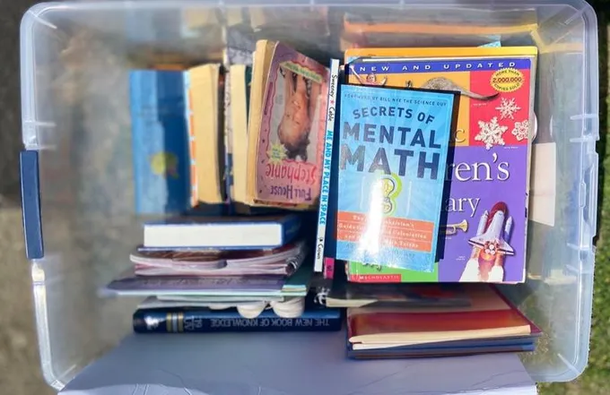 Lot of kids 10+ year olds books for Sale