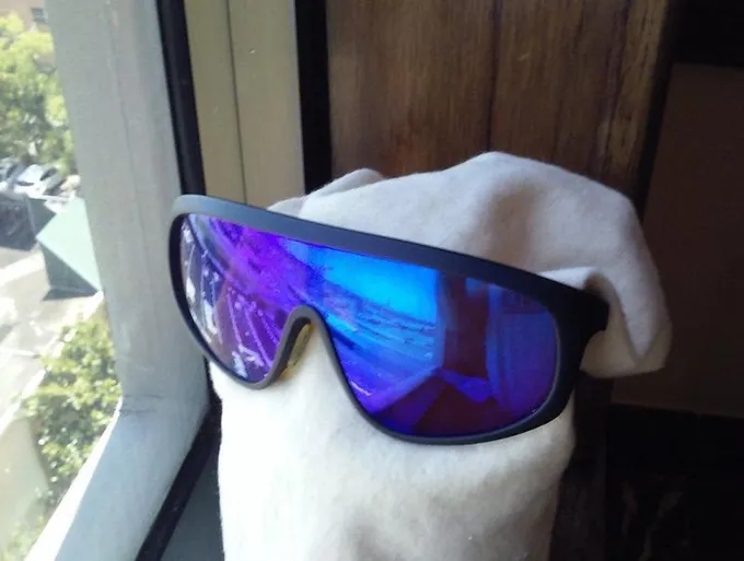 Rare Vintage Revo Model 541/001 Sunglasses with Revo Brown Polycarbonate for Sale