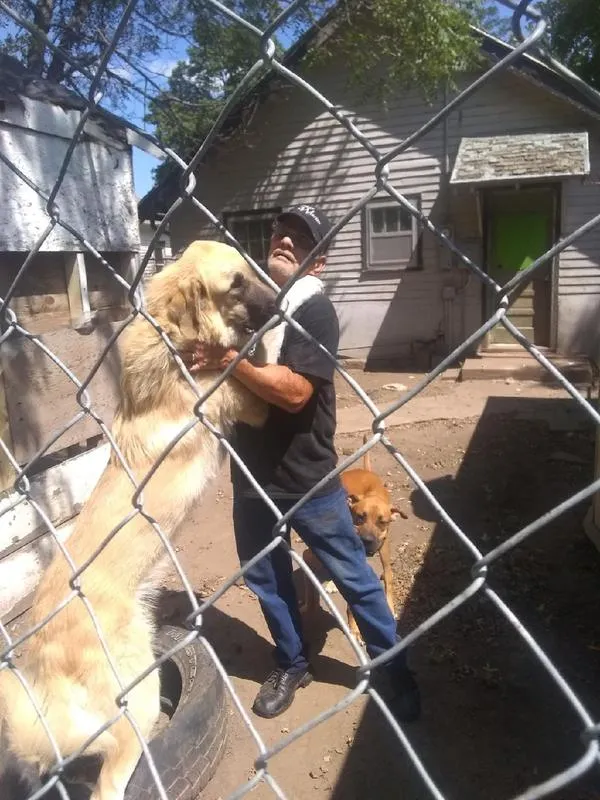 Rehoming for Sale