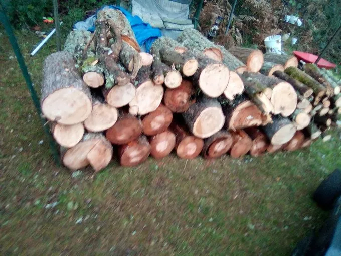 Uncut firewood for Sale