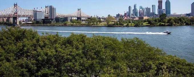 455 E 51st St #3A, New York, NY 10022 - MLS PRCH-7520905 for Sale