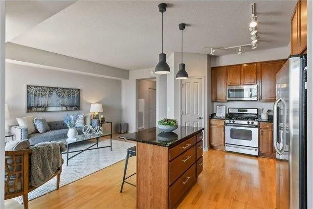 1 bedroom in Minneapolis MN 55404 for Sale