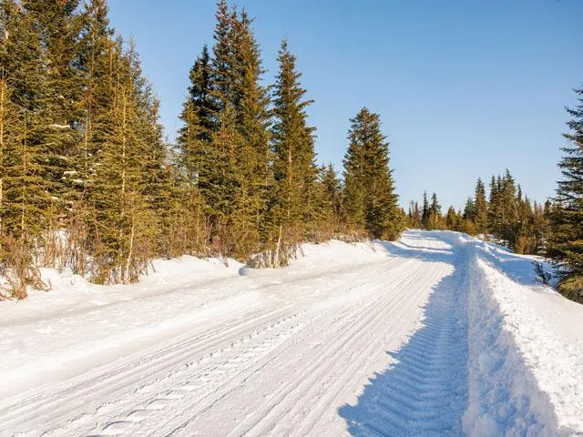 Alaska Land 1.63 Acre - Wooded Land - Anchor Point, AK for Sale