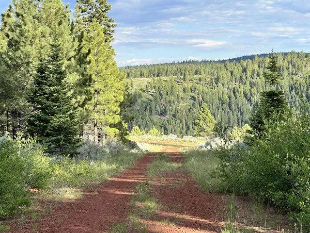 N. California Land for Sale, 0.89 acres, Power Close