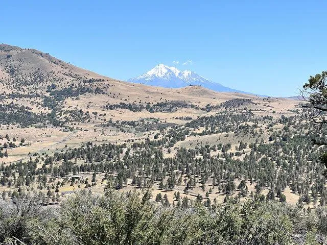 California Land 2.5 acres near Hornbrook and Mt. Shasta for Sale