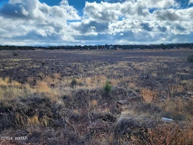 Concho, Quiet country atmosphere, clear skies on this nice 1 for Sale