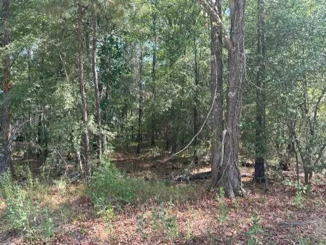 TBD Brackenridge, Livingston, TX 77351 for Sale