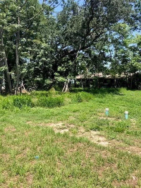 Oakland, Orange County, FL Undeveloped Land, Homesites for sale Property ID: 416390728