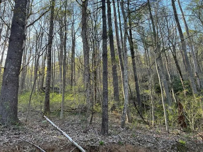 TBD BRIAR ROCK TRAIL, Fancy Gap, VA 24328 Land For Sale  MLS# 88780