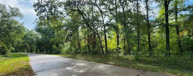 Lot 14 Candlelight Ln, Livingston, TX 77351 for Sale