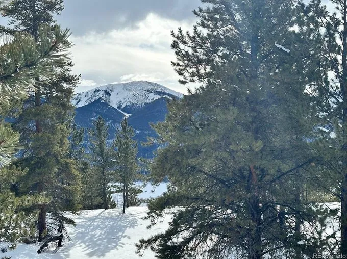 142 La Plata Peak Dr, Twin Lakes, CO 81251 - MLS 5208581 for Sale