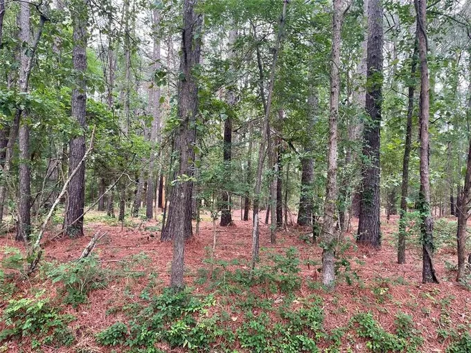 20312 County Road 4106 Lot 13, Lindale, TX 75771 for Sale