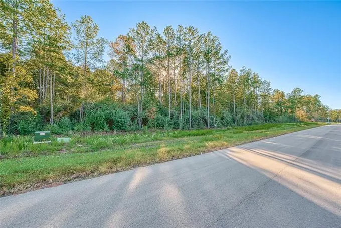 15660 Fire Sky Rd, Willis, TX 77378 for Sale