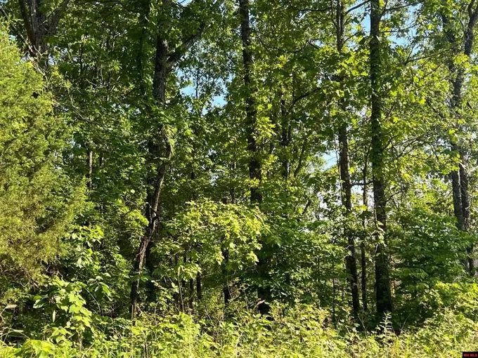 Caulfield, Ozark County, MO Undeveloped Land for sale Property ID: 416931360