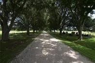 1202 FM 359 Rd, Richmond, TX 77406 for Sale