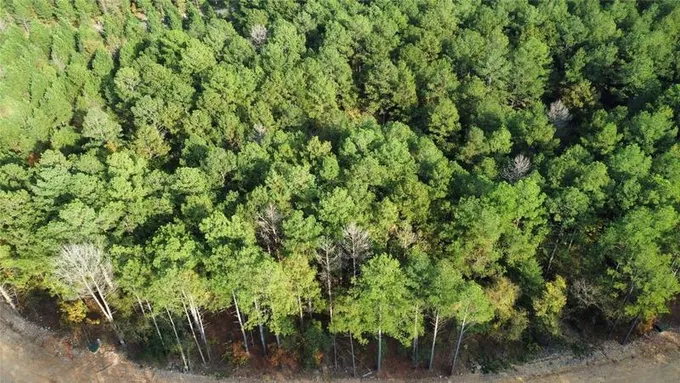 Broken Bow, Mc Curtain County, OK Undeveloped Land, Homesites for sale Property ID: 418103913