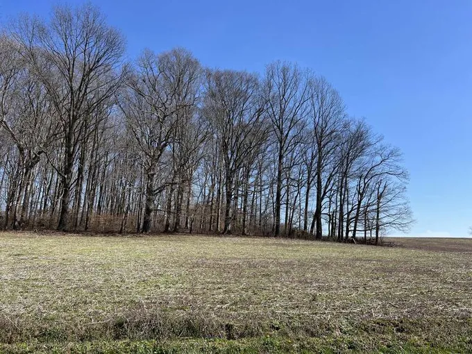 Tract 1 Elrod Road, Somerset, KY 42503  628471421 for Sale