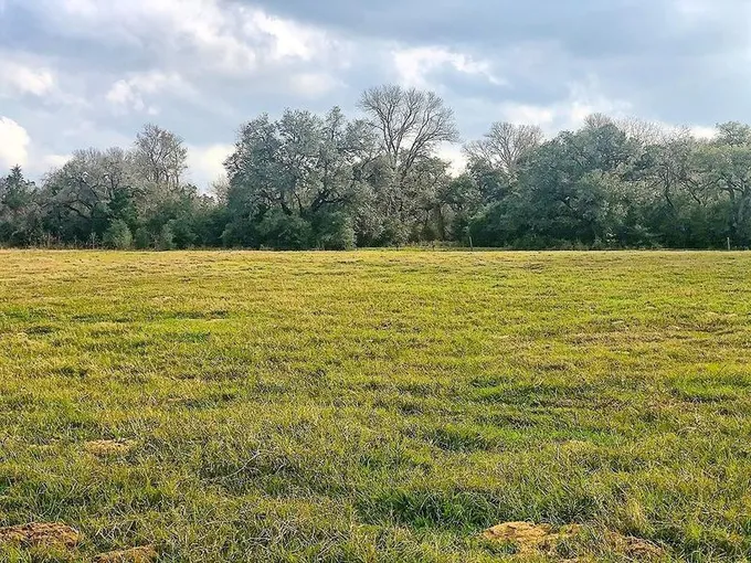County Road 221, Schulenburg, TX 78956 for Sale
