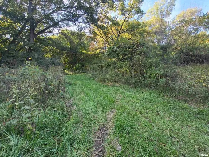 625 East Hallock Hollow Road, Edelstein, IL 61526 for Sale