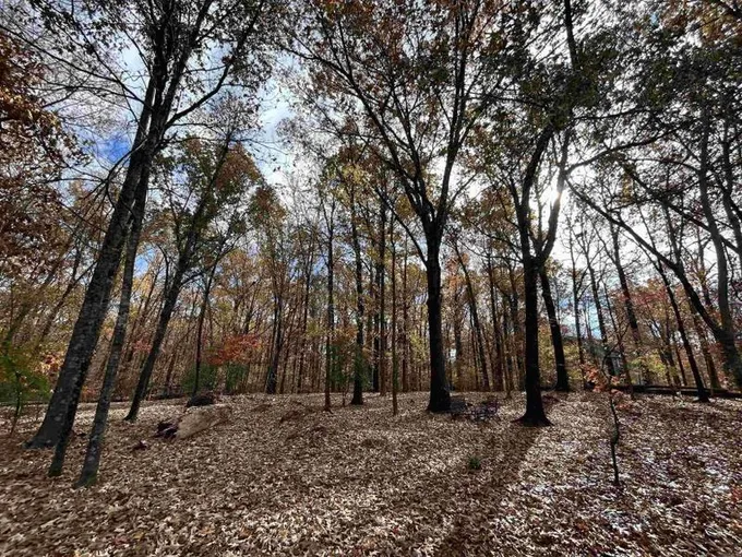 Forrest City, Saint Francis County, AR Undeveloped Land, Homesites for sale Property ID: 418480847
