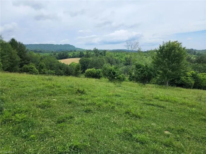 00 FOX RIDGE ROAD, Glade Valley, NC 28627 Land For Sale  MLS# 1125479