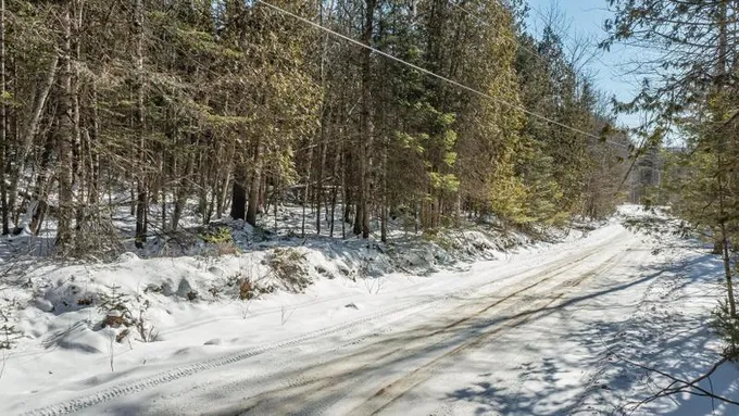 Swanville, Waldo County, ME Undeveloped Land for sale Property ID: 418963422