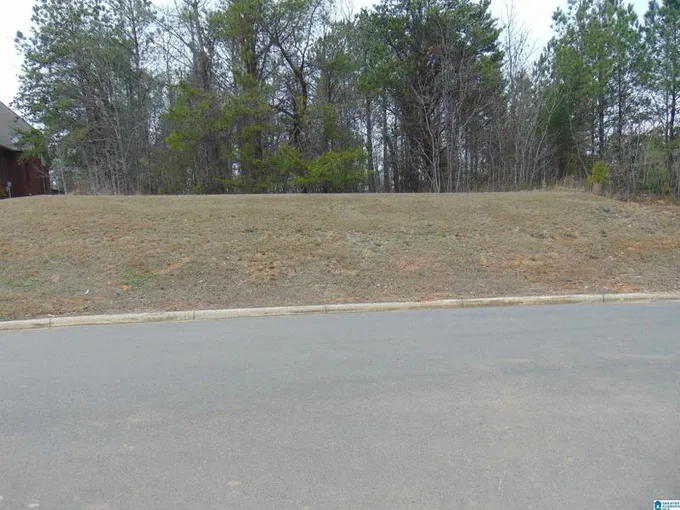 Birmingham, Jefferson County, AL Undeveloped Land, Homesites for sale Property ID: 418929039