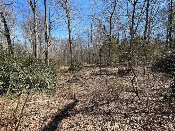 0 Mountain Ave, Schuylkill County, PA 18252 - MLS 714316 for Sale