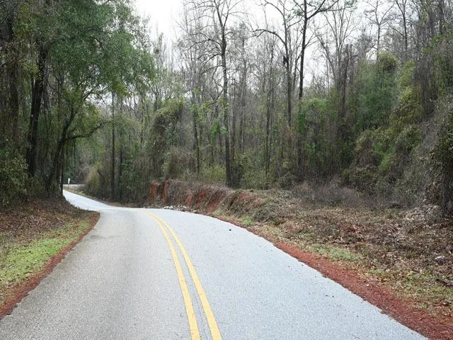 Alabama Land 2.18 Acres - Monroeville, AL for Sale