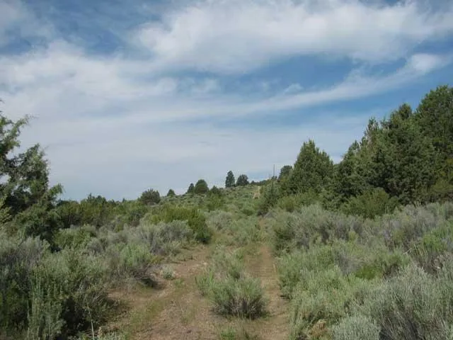 Oregon land 1.7 Acres Walk to River for Sale