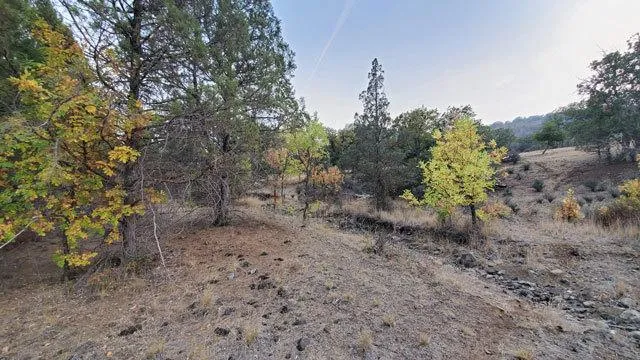 Northern California Land 1.1 Ac. Paved Rd, River Close for Sale