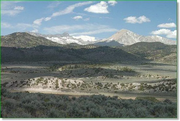 Colorado Foothills, 5 Acres, Mountain And Valley Views for Sale
