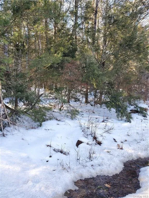 Wawarsing, Ulster County, NY Undeveloped Land for sale Property ID: 415996301