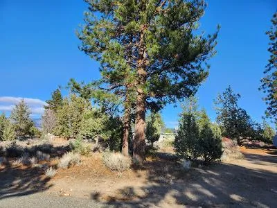 187 Sherwood for Sale