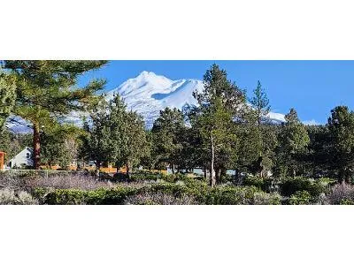 273 Sherwood for Sale