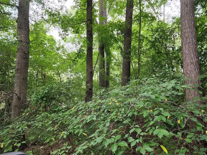 TBD Flournoy St, Quitman, TX 75783 for Sale