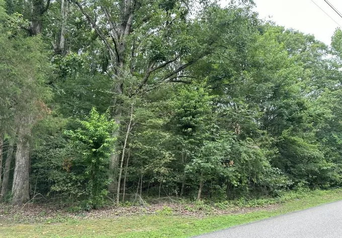 1018 WOODLAND DR, New Johnsonville, TN 37134 Land For Sale  MLS# 2607921